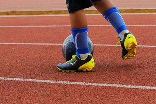 华体会登陆地址-中国青少年篮球运动员体能素质发展规律，我国篮球青少年运动发展现状